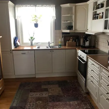 Sentral Og Hyggelig Bolig Apartment
