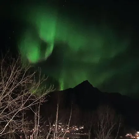Apartman Sentral Og Hyggelig Bolig
